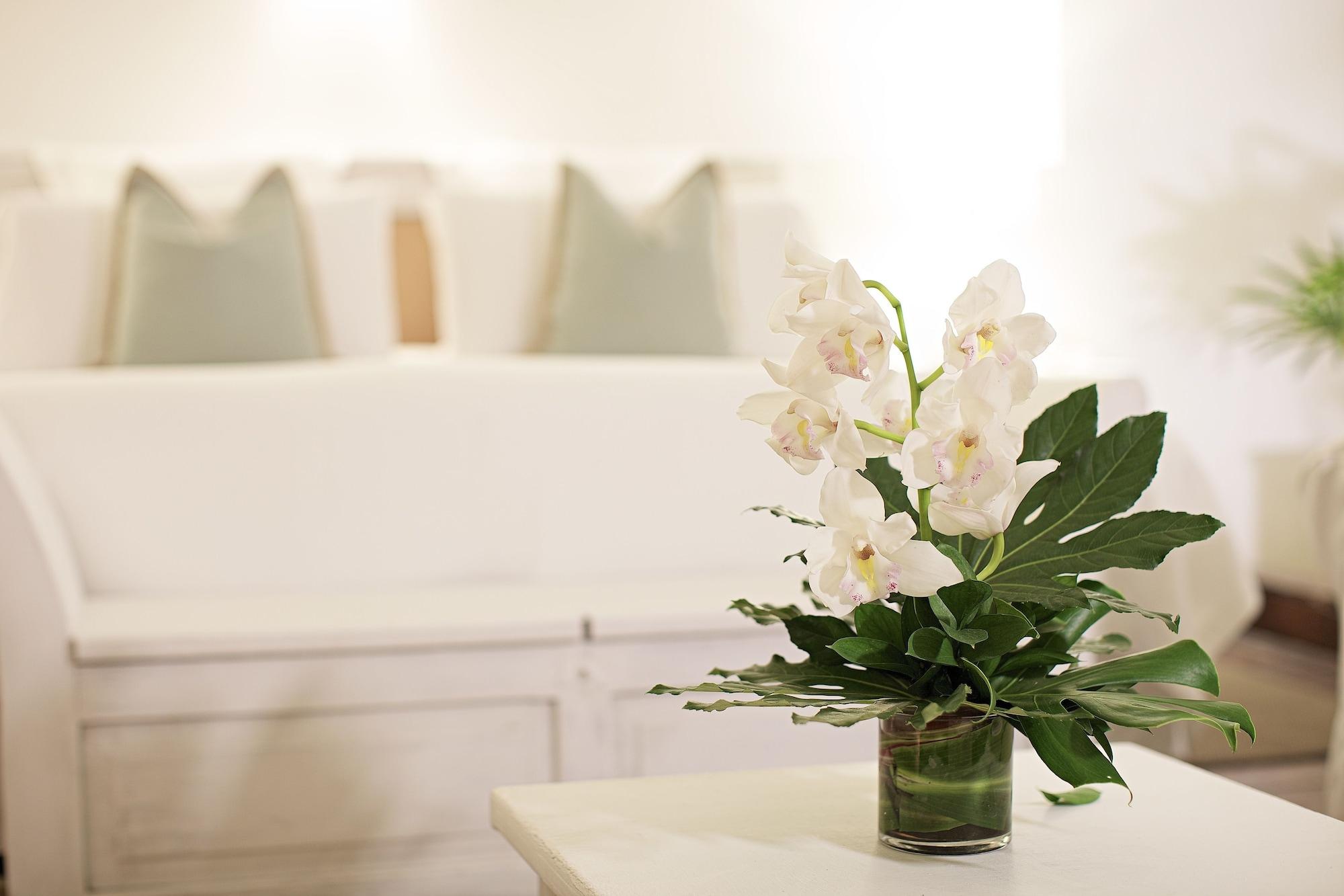 Casa Belle Boutique Hotel Cartagena Екстер'єр фото